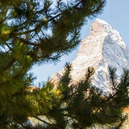 Bed & Breakfast Bijou Zermatt Bagian luar foto